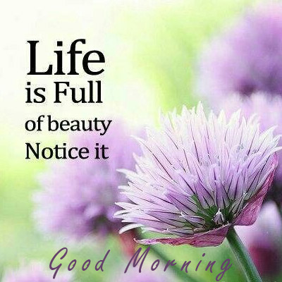 Life Is Full Of Beauty Good Morning Inspirational Quotes from Good morning inspirational Quotes Images